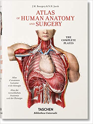 ATLAS OF HUMAN ANATOMY